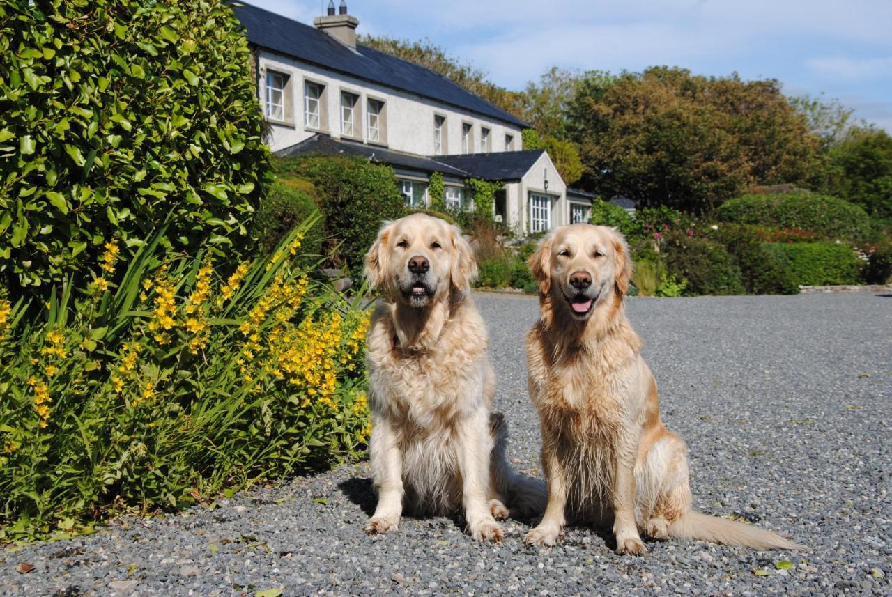 The Mill Hotel Dunfanaghy Bagian luar foto