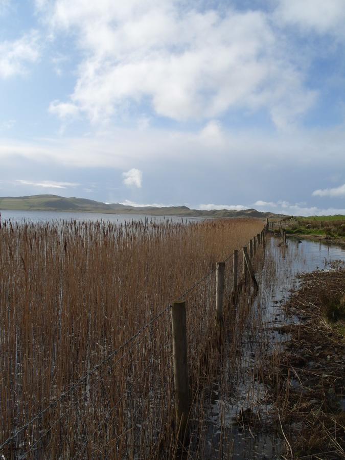 The Mill Hotel Dunfanaghy Bagian luar foto