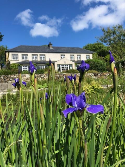 The Mill Hotel Dunfanaghy Bagian luar foto