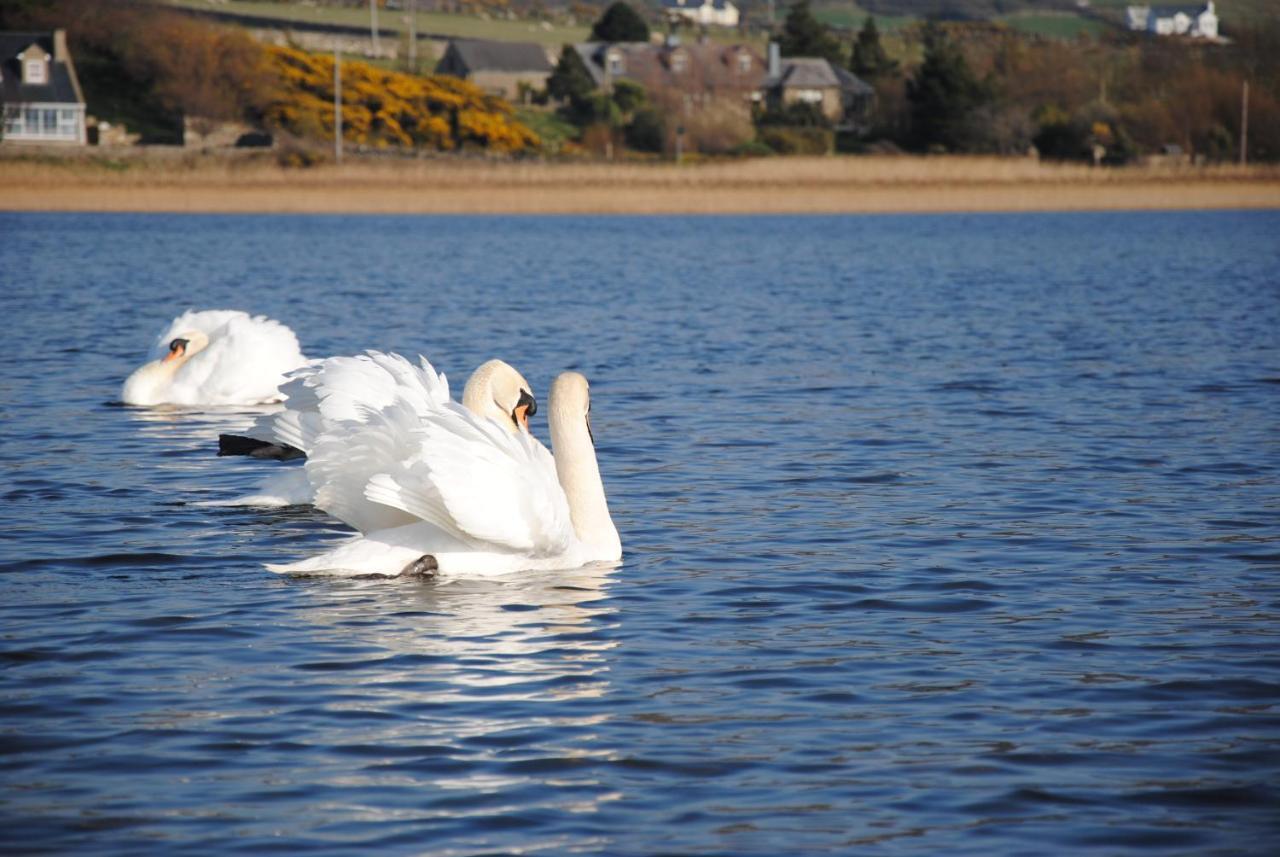 The Mill Hotel Dunfanaghy Bagian luar foto
